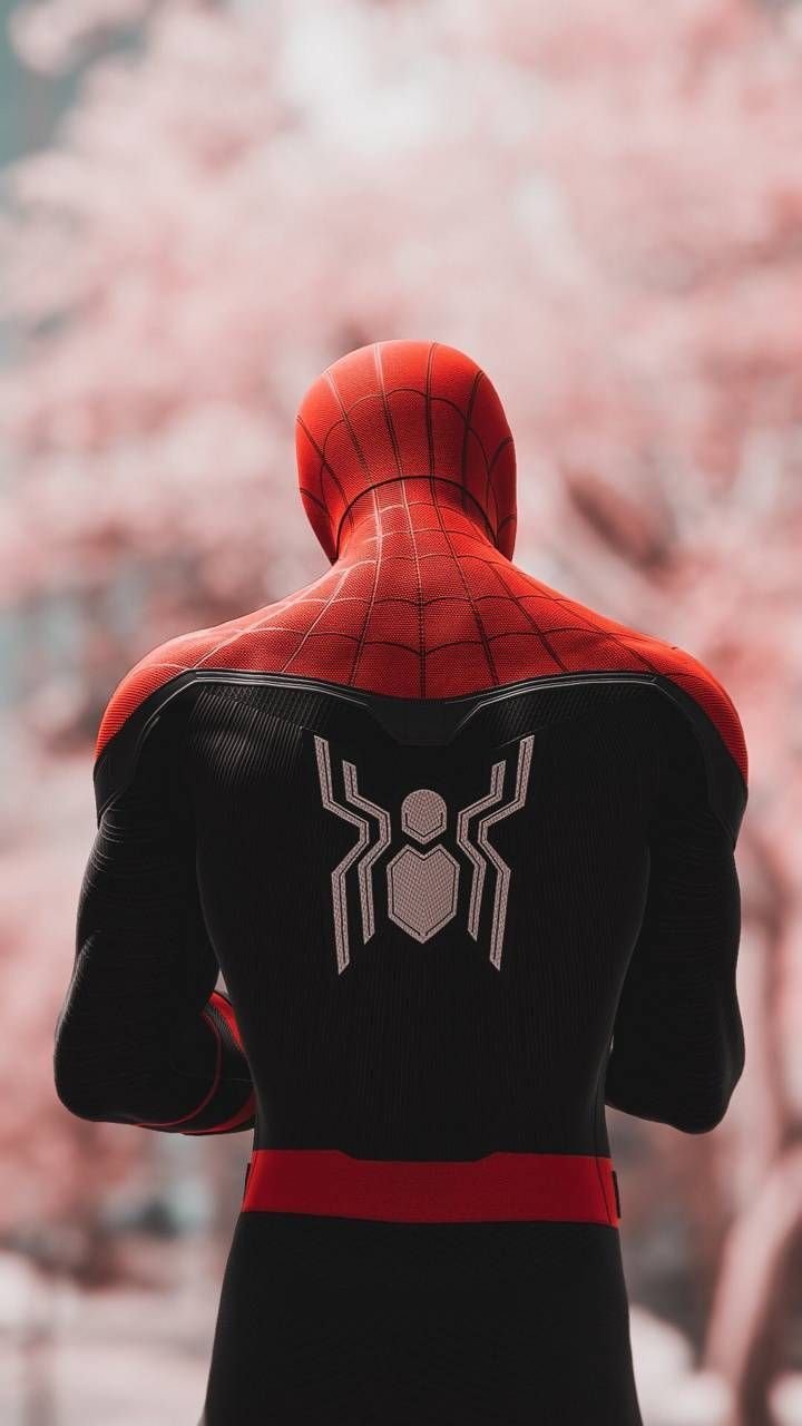 Spiderman - Superhero