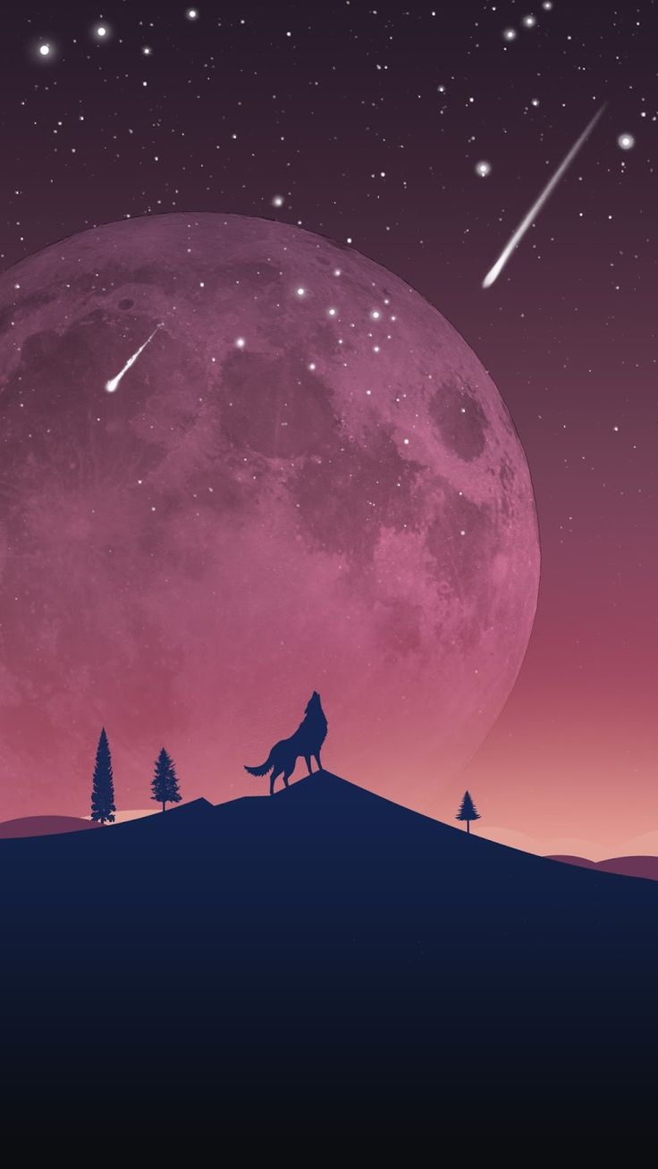 Wolf Silhouette