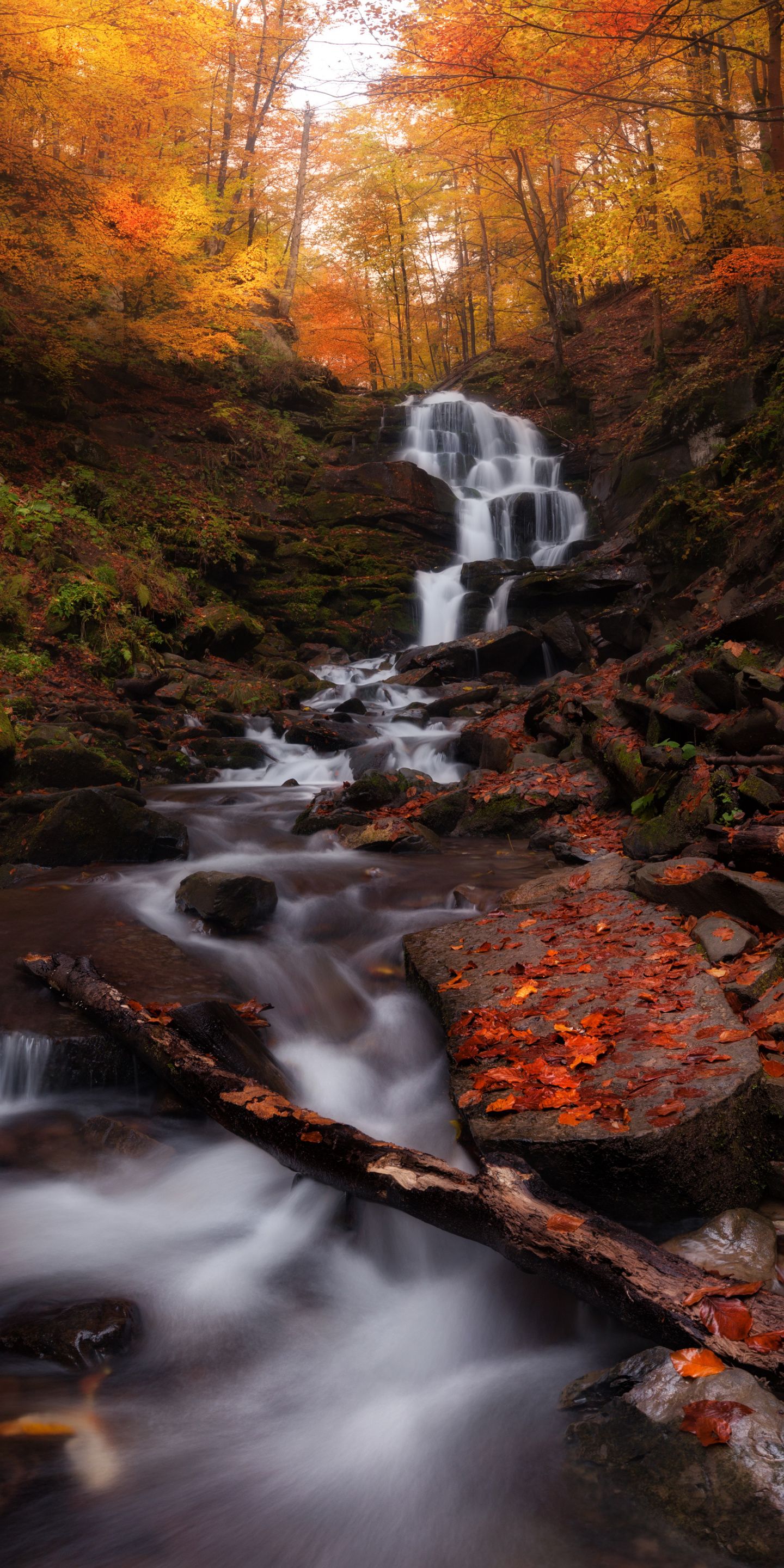 Nature Autumn Waterfalls