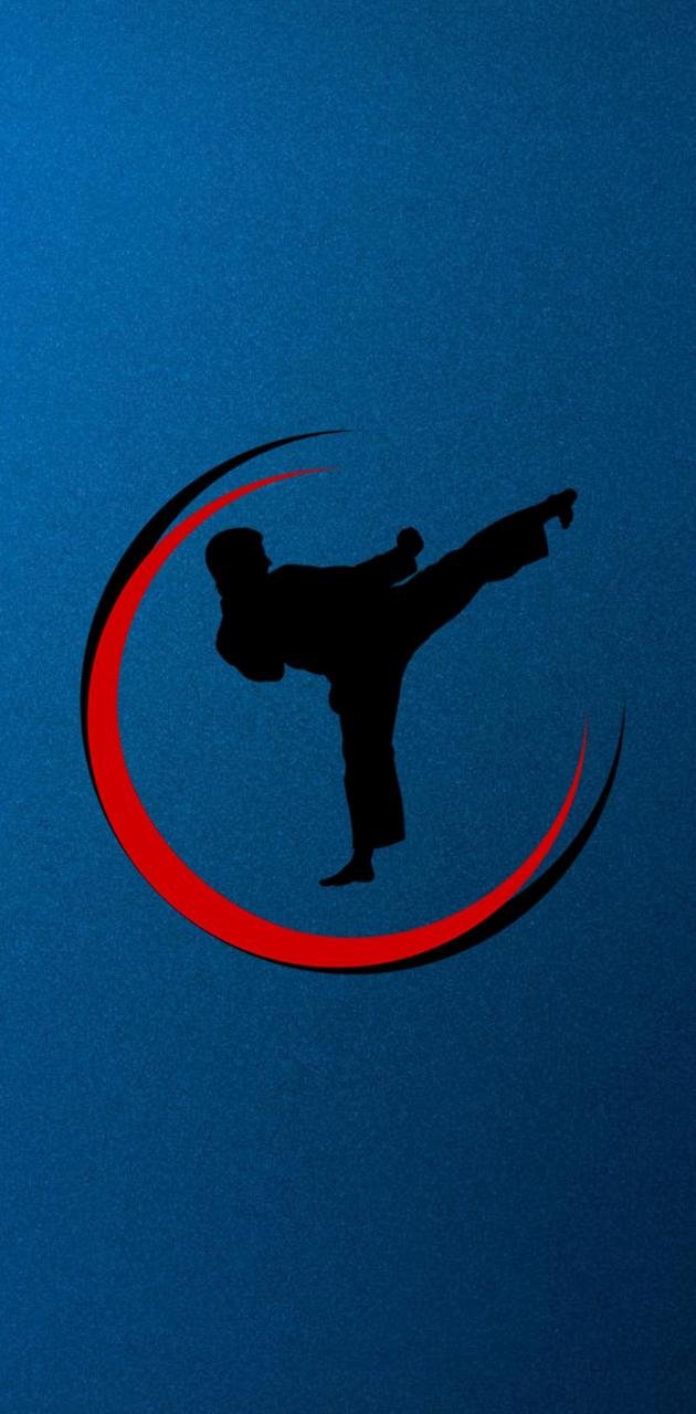 Karate Kick art performing arts HD phone wallpaper  Peakpx