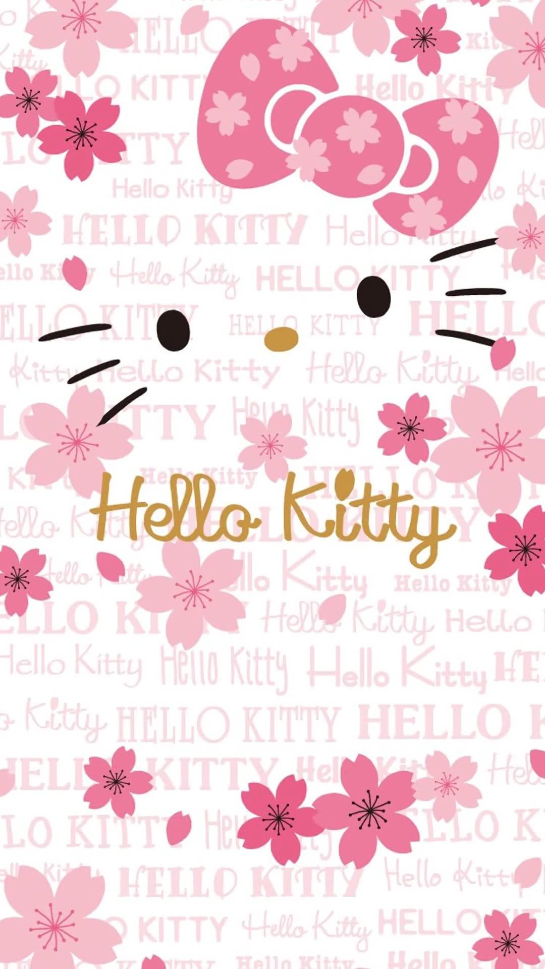 HELLO KITTY  Hello kitty backgrounds, Pink hello kitty, Hello kitty  wallpaper