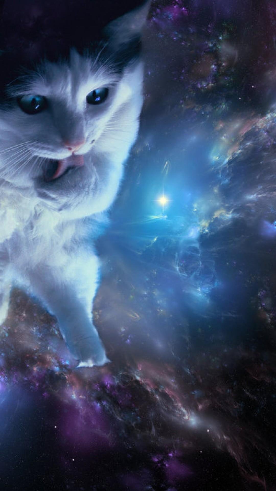 Space Cat Wallpaper by IAMRESISTY on DeviantArt
