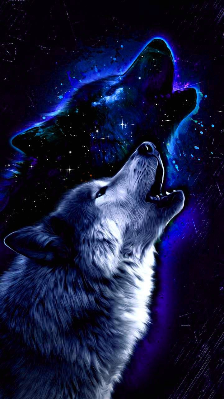 Arctic Galaxy Wolf Wallpaper Download | MobCup