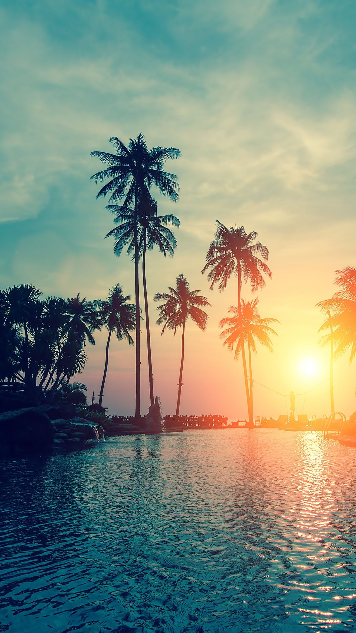Tropical Sunset Palm Tree Background Wallpaper Download | MobCup