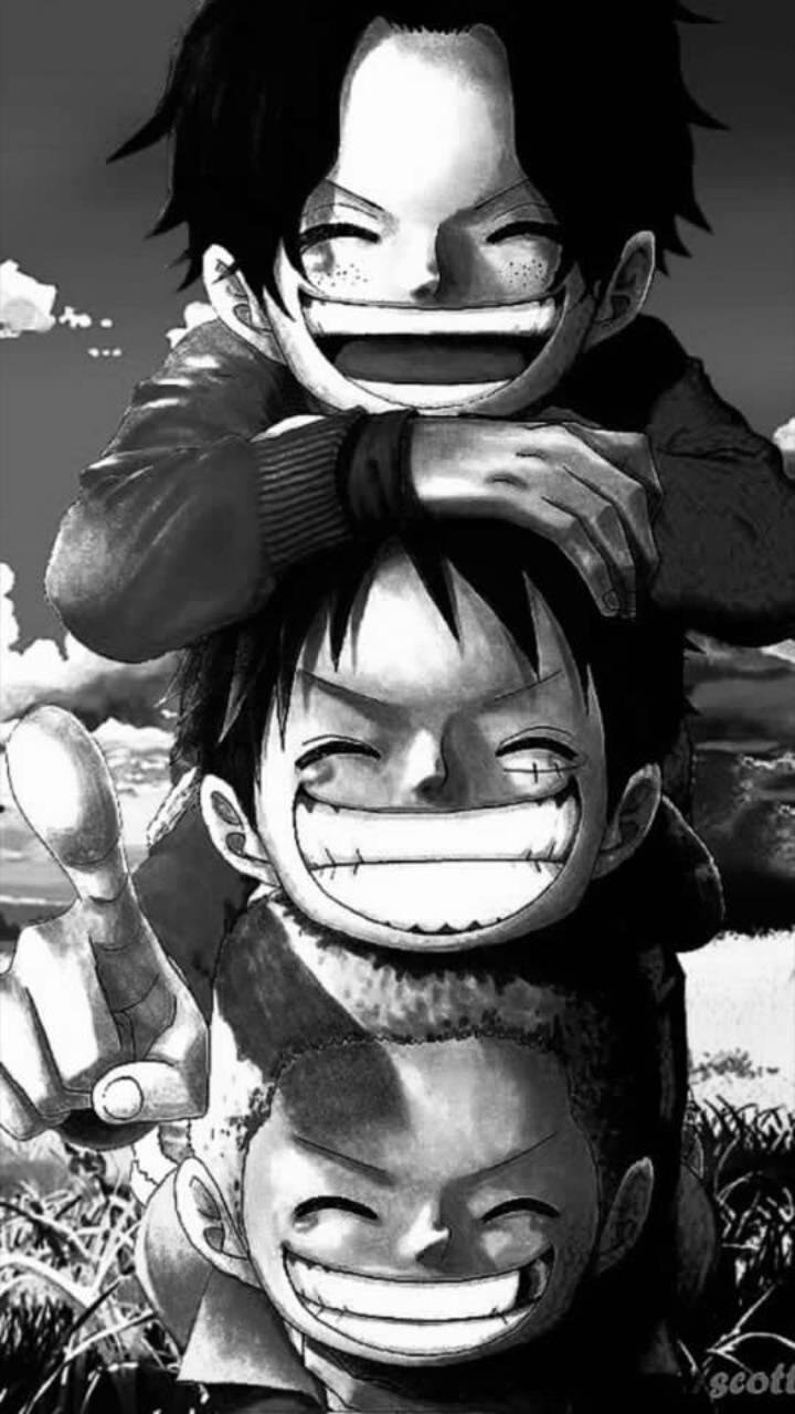 1668x2388 Resolution Luffy Ace and Sabo One Piece Team 1668x2388  Resolution Wallpaper  Wallpapers Den
