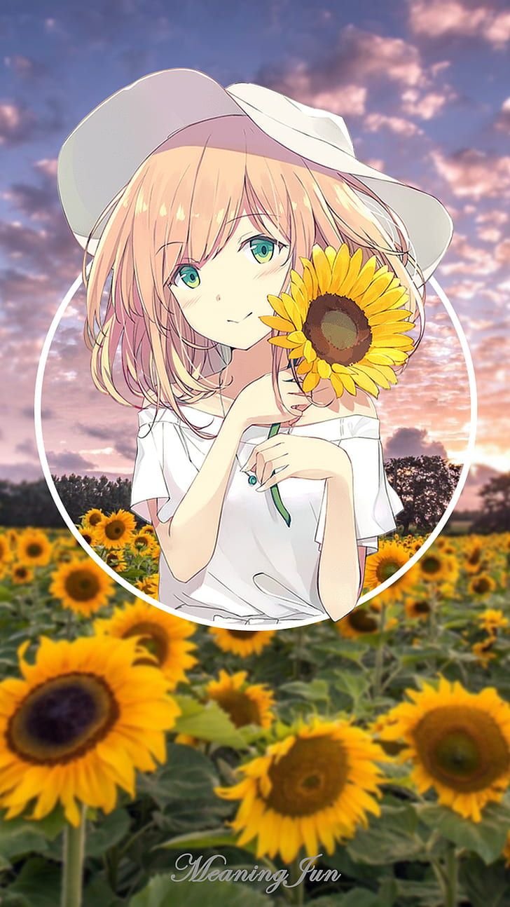 Anime girl with sunflower Wallpapers Download | MobCup