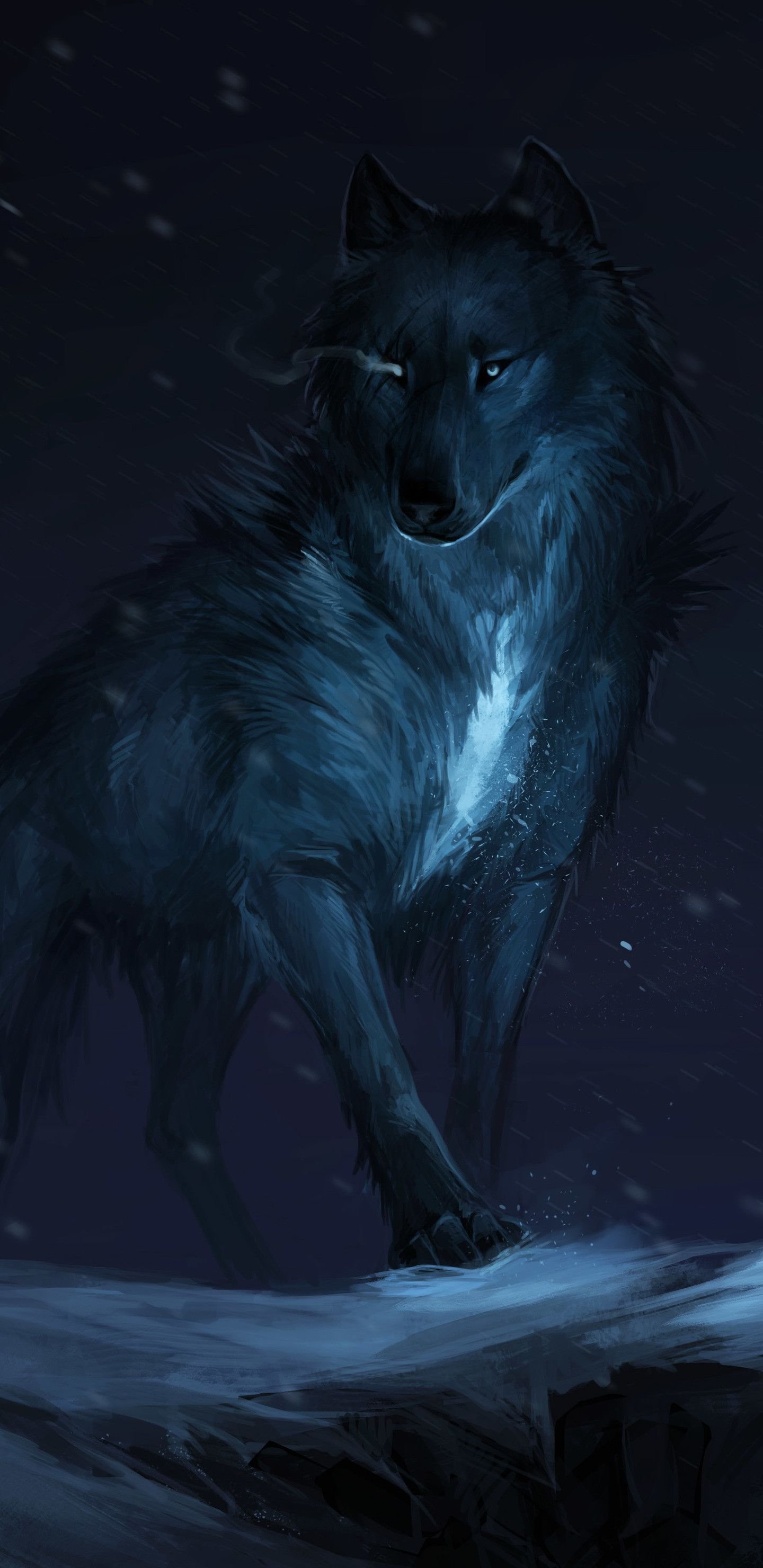 Animal Wolf HD Wallpaper