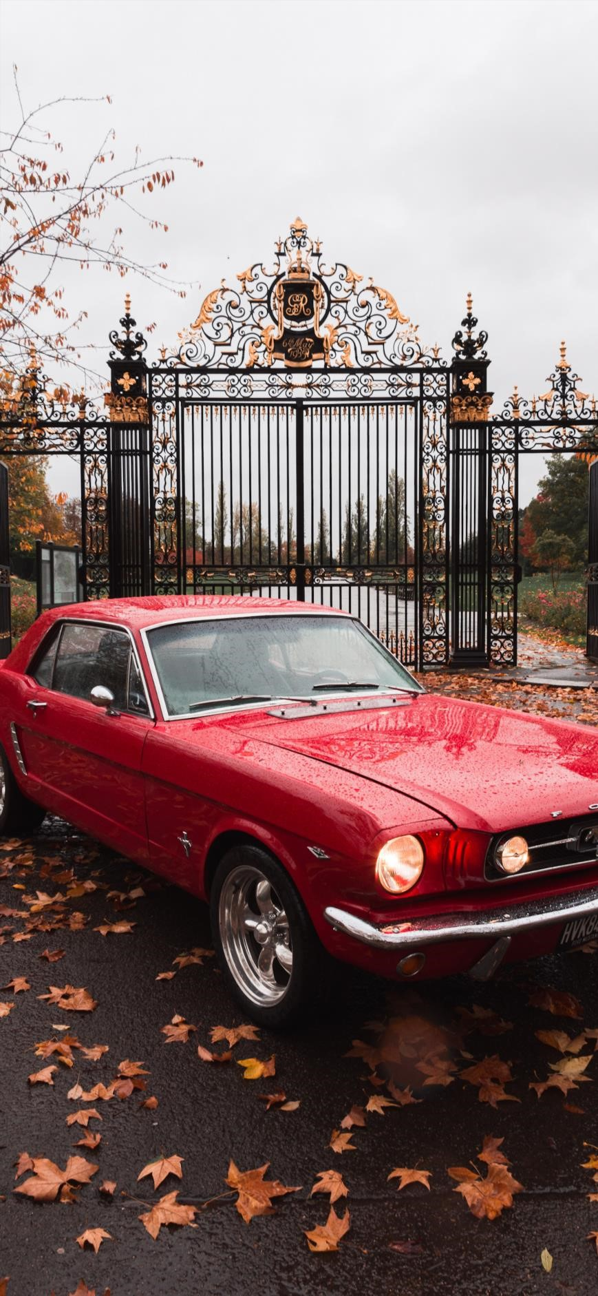 Old Mustang, Mustang Classic Car HD wallpaper | Pxfuel
