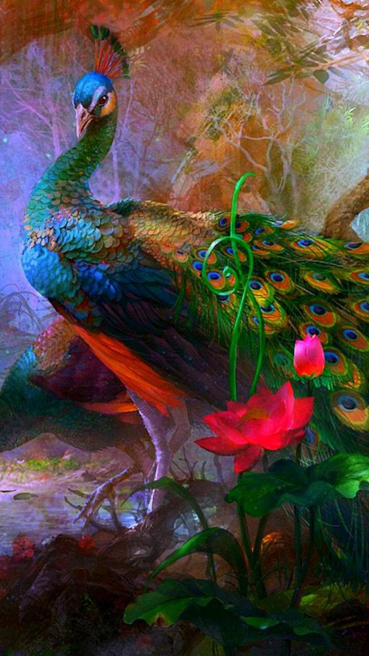 Peacock Painting Art