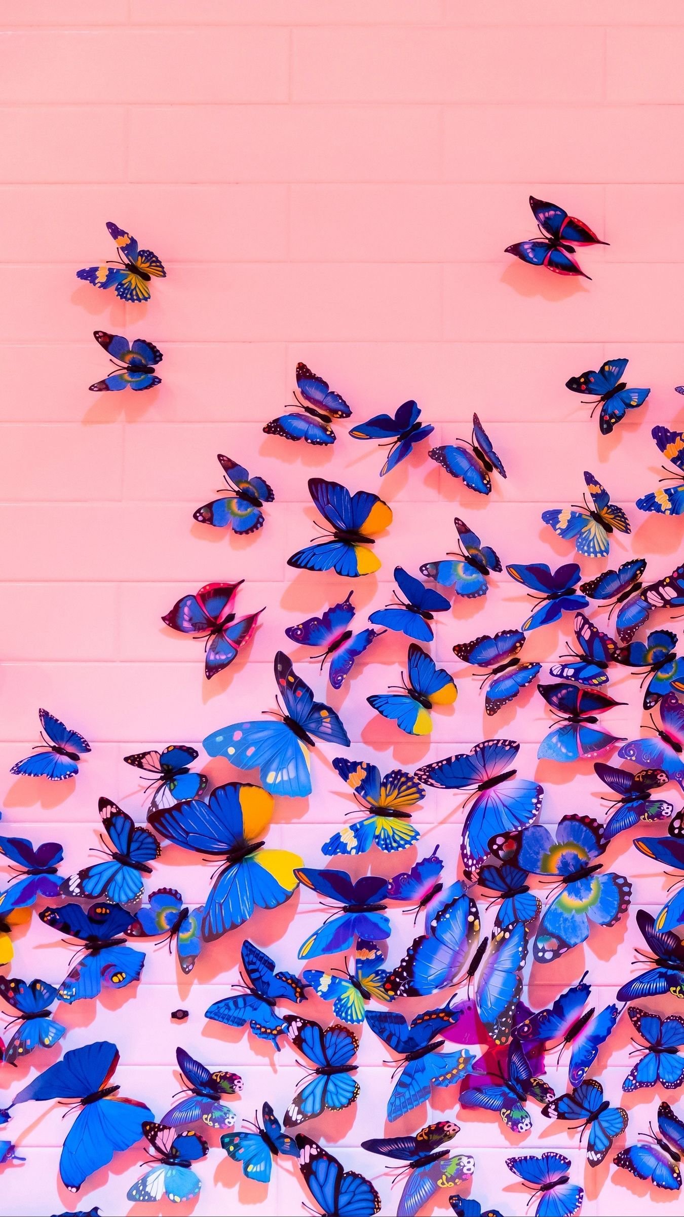 Red yellow orange and blue butterfly digital 4K wallpaper download