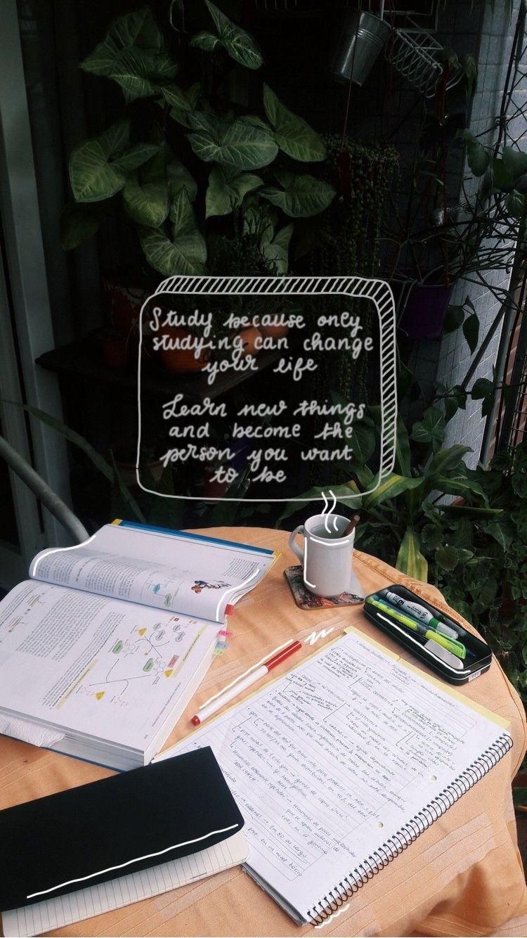 Study motivation Wallpaper Download  MobCup