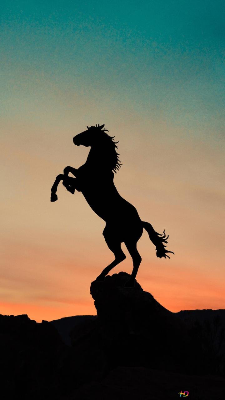 Horses in sunset Wallpapers Download | MobCup