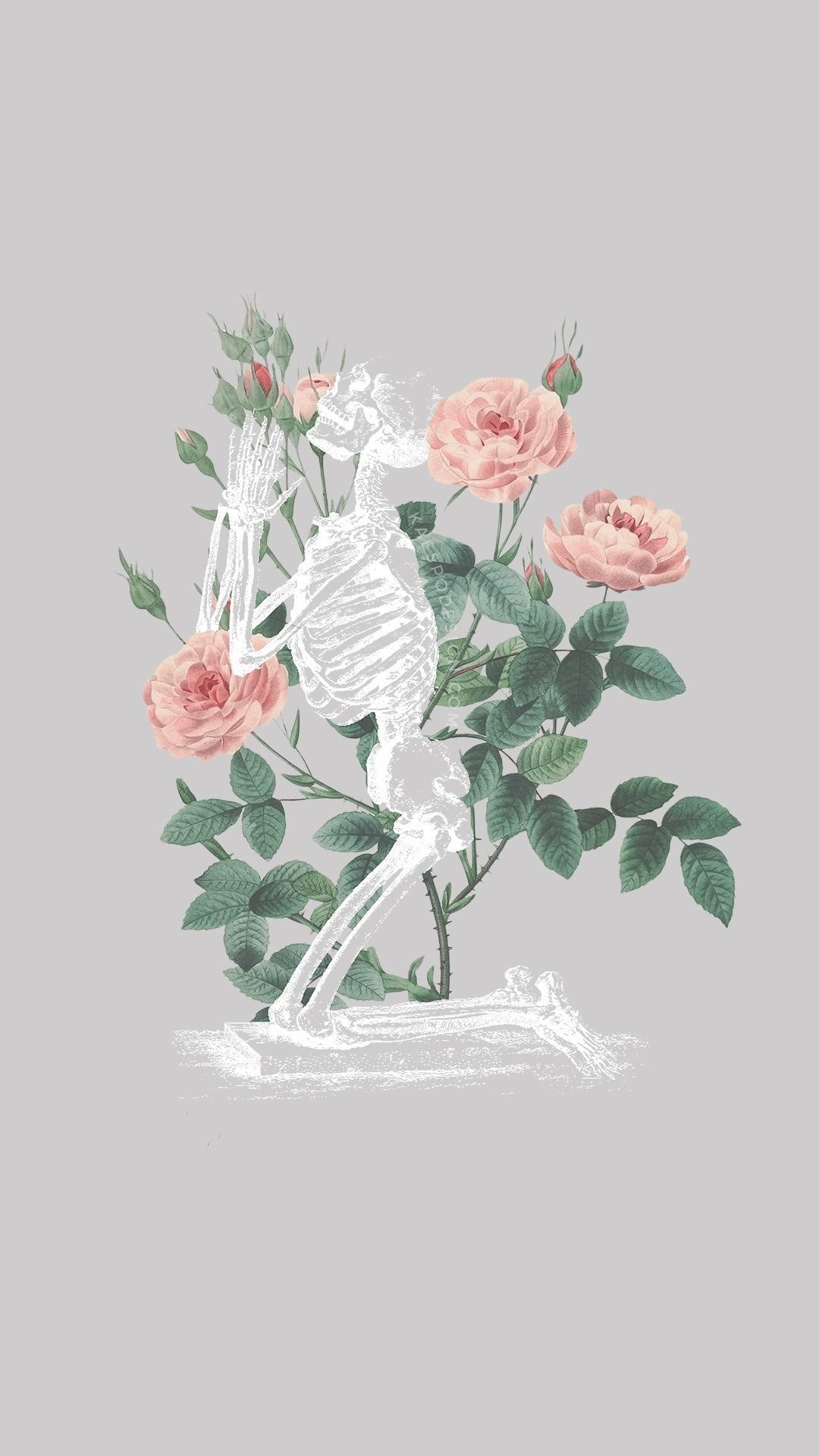 Download Grunge Emo Aesthetic Skeleton Wallpaper  Wallpaperscom