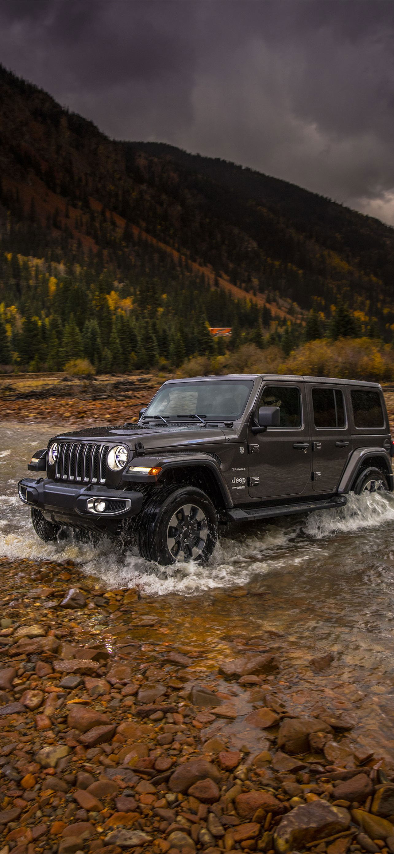 Jeep Wrangler - SUV