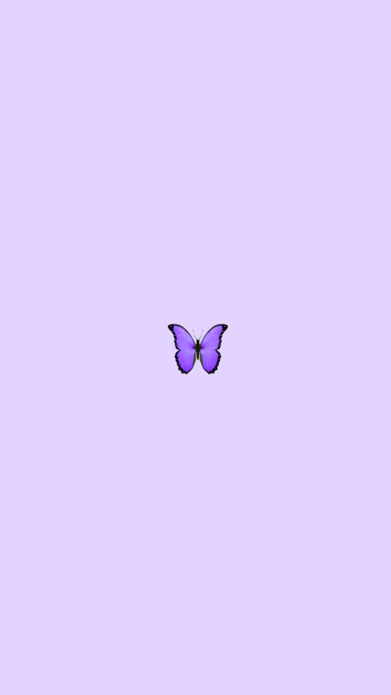 46 Purple Butterfly Desktop Wallpaper  WallpaperSafari