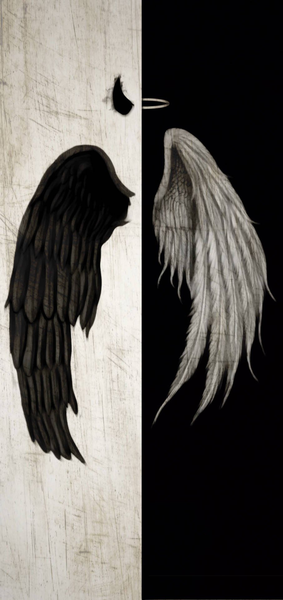 black and white angel wings wallpaper