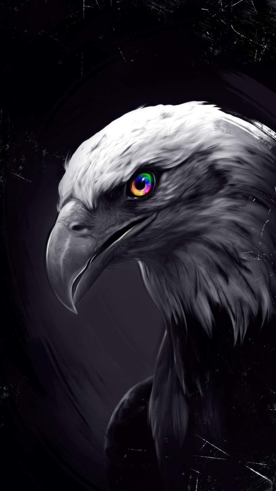 Evil eagle Wallpaper 4k Ultra HD ID11361