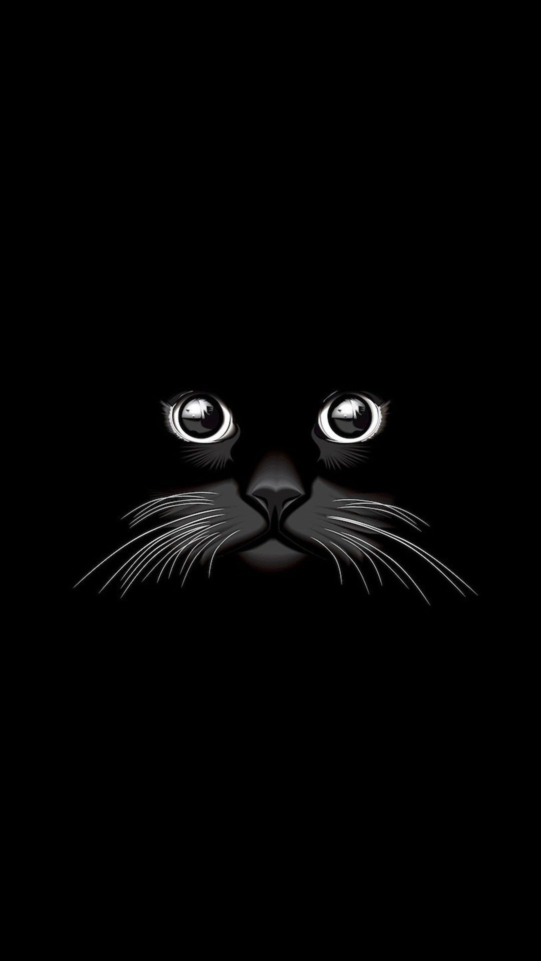 Black Cat iPhone Wallpapers  Top Free Black Cat iPhone Backgrounds   WallpaperAccess