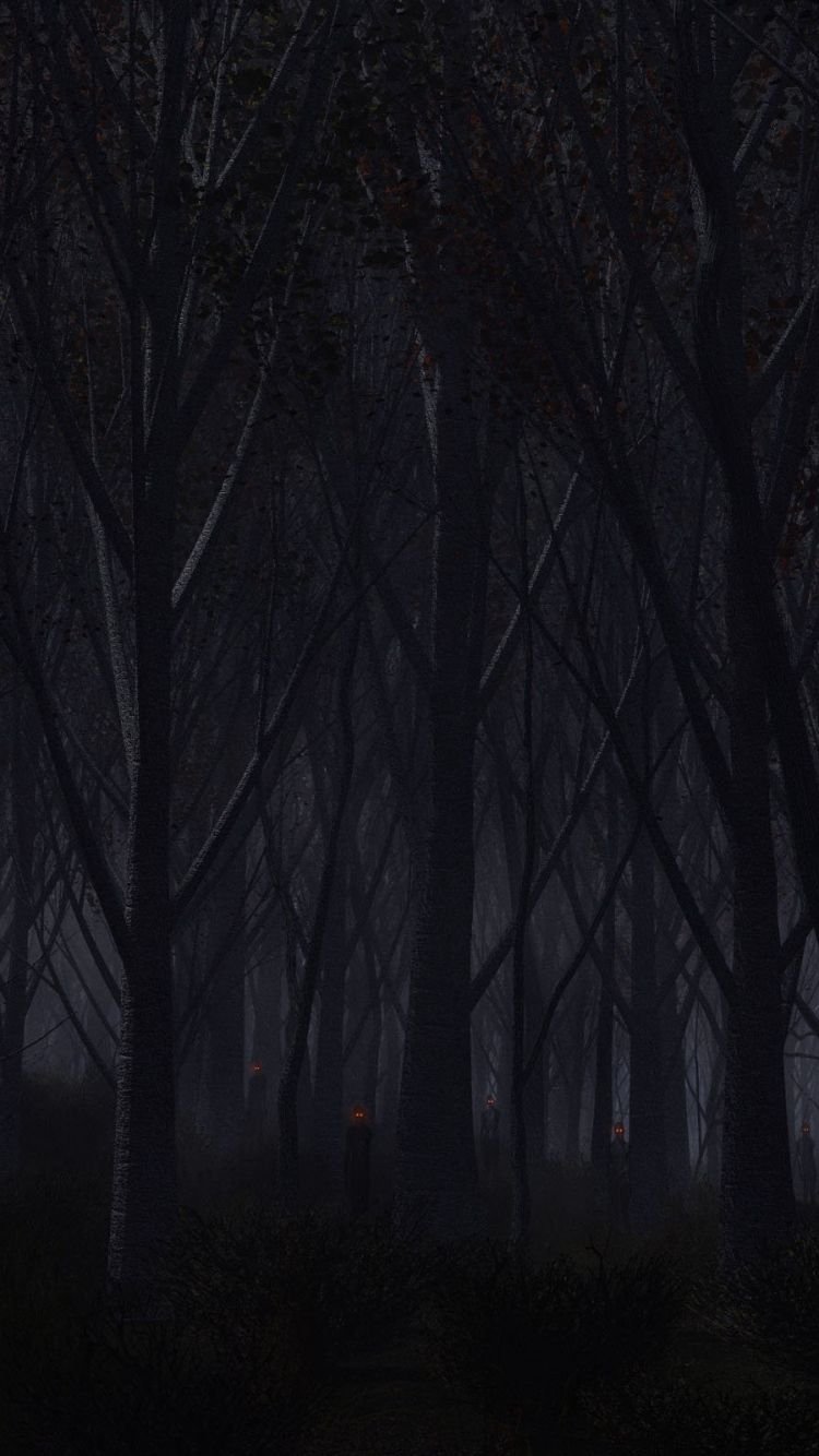 creepy woods wallpaper