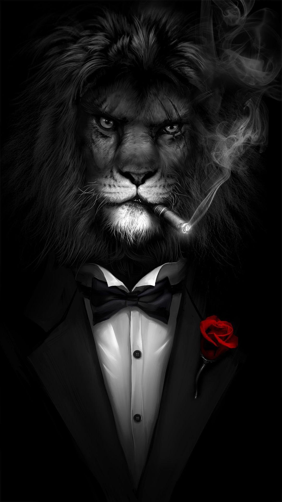 HD black and white lion wallpapers  Peakpx