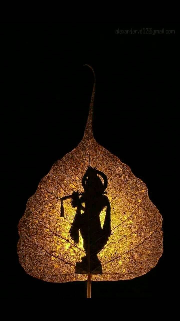 Bal Krishna in tree leaf | Beautiful hd wallpaper | Bal krishna, Bal,  Krishna