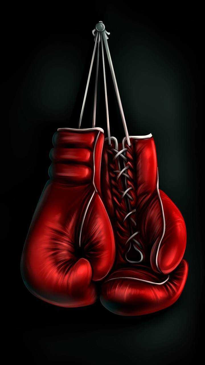 12200 Black Boxing Gloves Stock Photos Pictures  RoyaltyFree Images   iStock  Vintage boxing gloves Woman boxing Boxing trunks