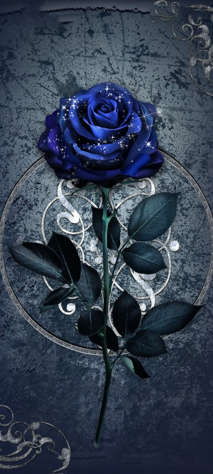 black and blue rose wallpaper