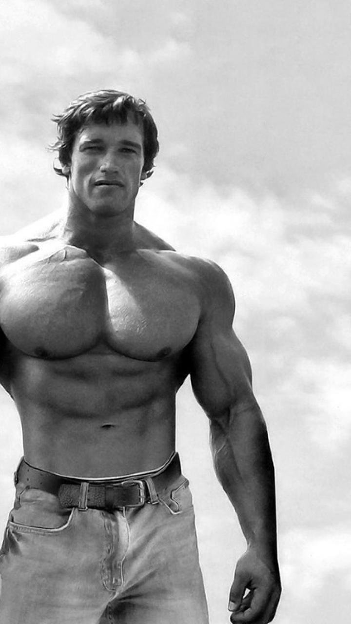 Arnold Schwarzenegger 2  Etsy India  Arnold schwarzenegger bodybuilding  Arn  Fisiculturismo masculino Motivação para culturismo Motivação para  fisiculturismo