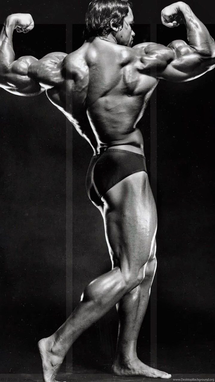272 Arnold Schwarzenegger Body Stock Photos HighRes Pictures and Images   Getty Images