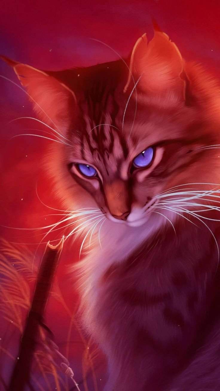 Warrior Cats IPhone Wallpaper by PyroAlexDraws on DeviantArt