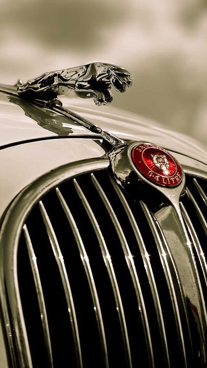 350+ Jaguar Car Pictures | Download Free Images on Unsplash