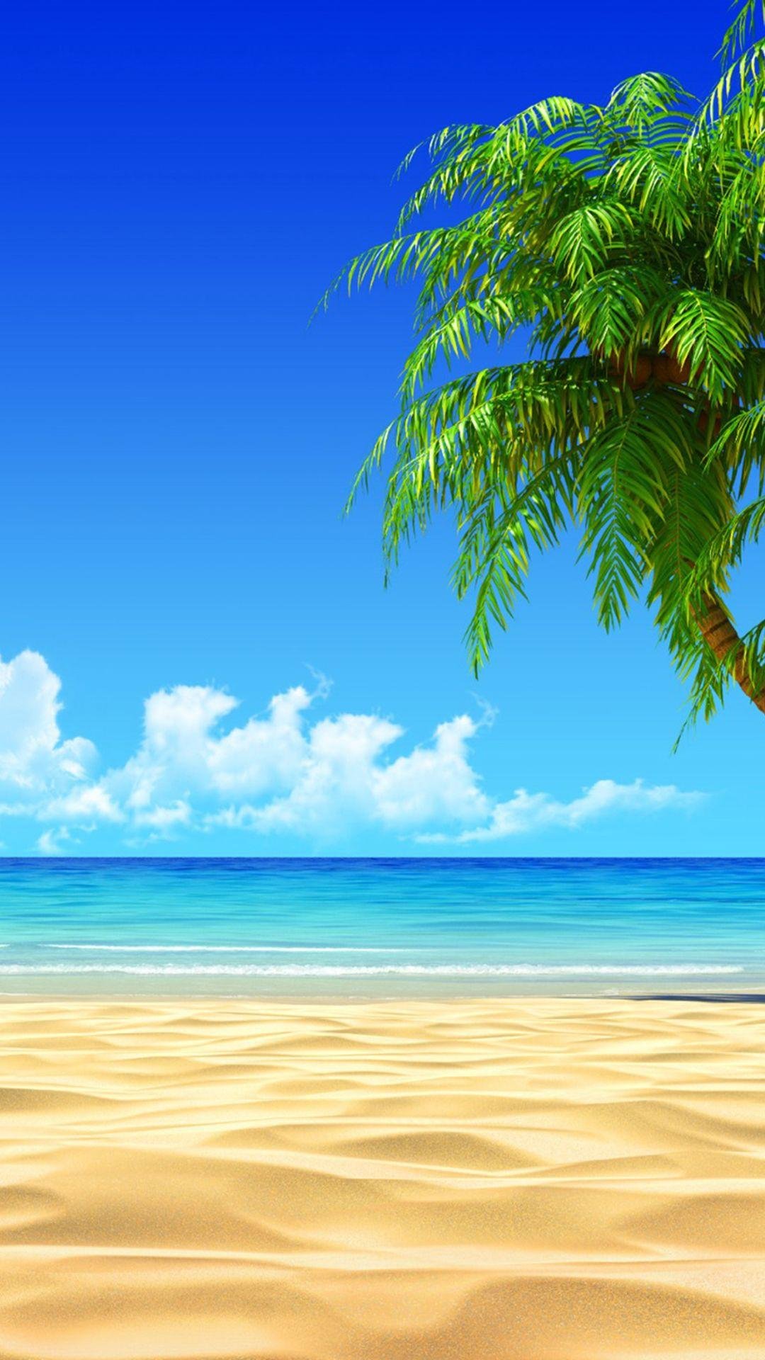 Beach Coconut Tree Wallpaper Download | MobCup