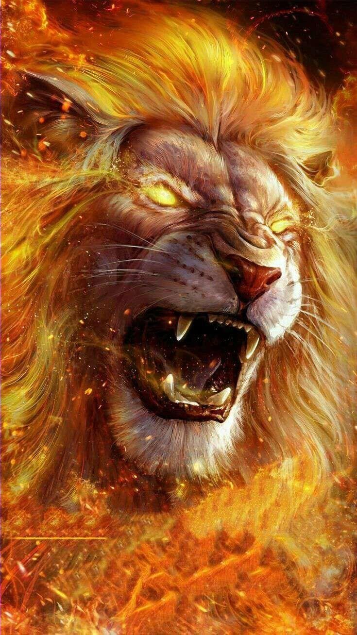 Fire Lion painting cat abstract cats lion animal HD wallpaper   Peakpx