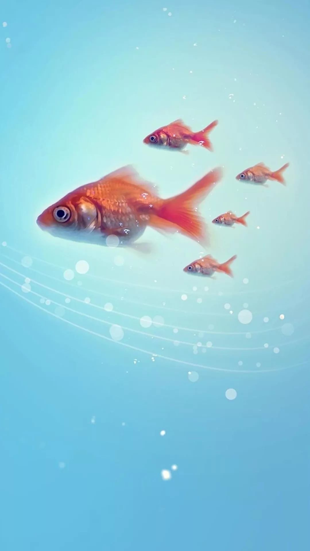 Goldfish underwater Wallpapers Download | MobCup
