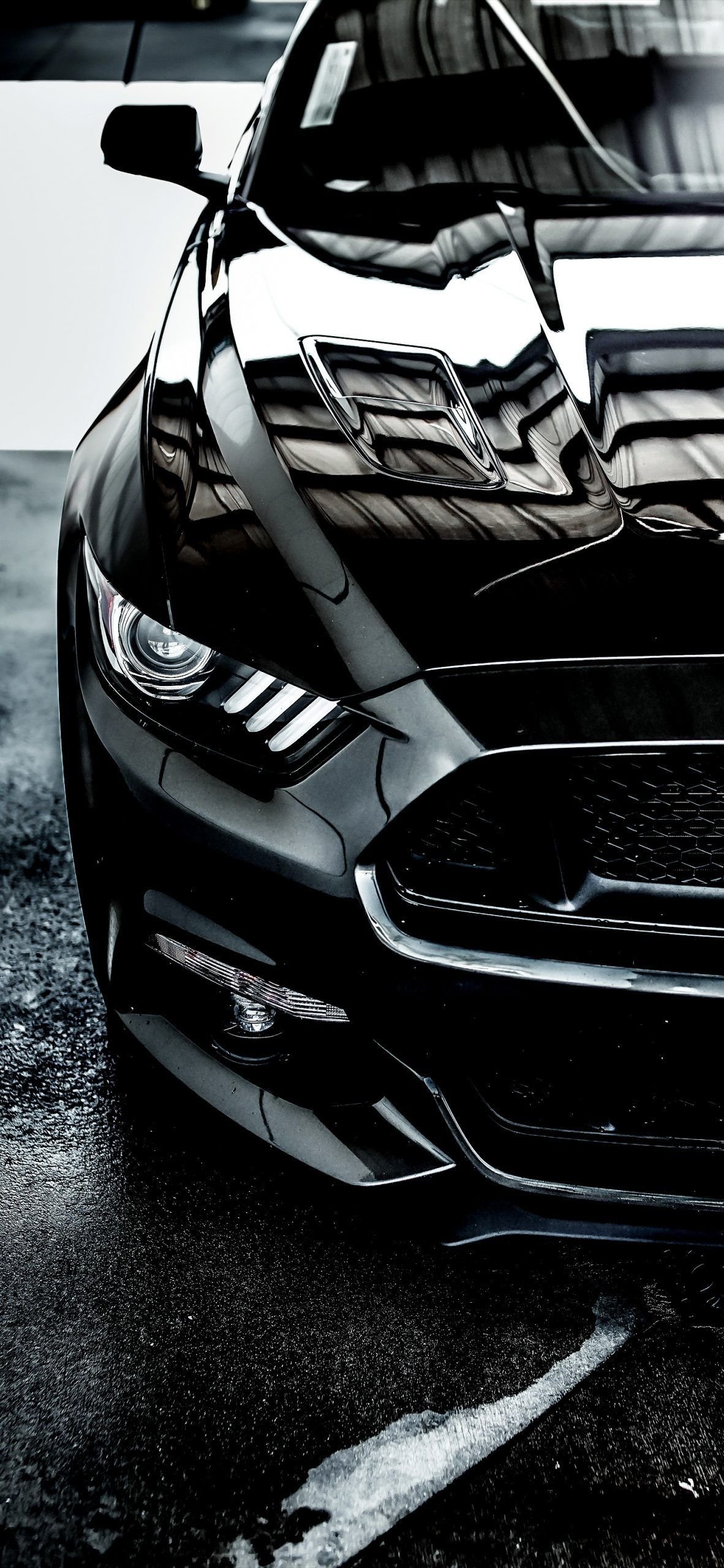 HD Mustang Android Wallpapers  Wallpaper Cave  Black mustang Black  mustang gt Ford mustang