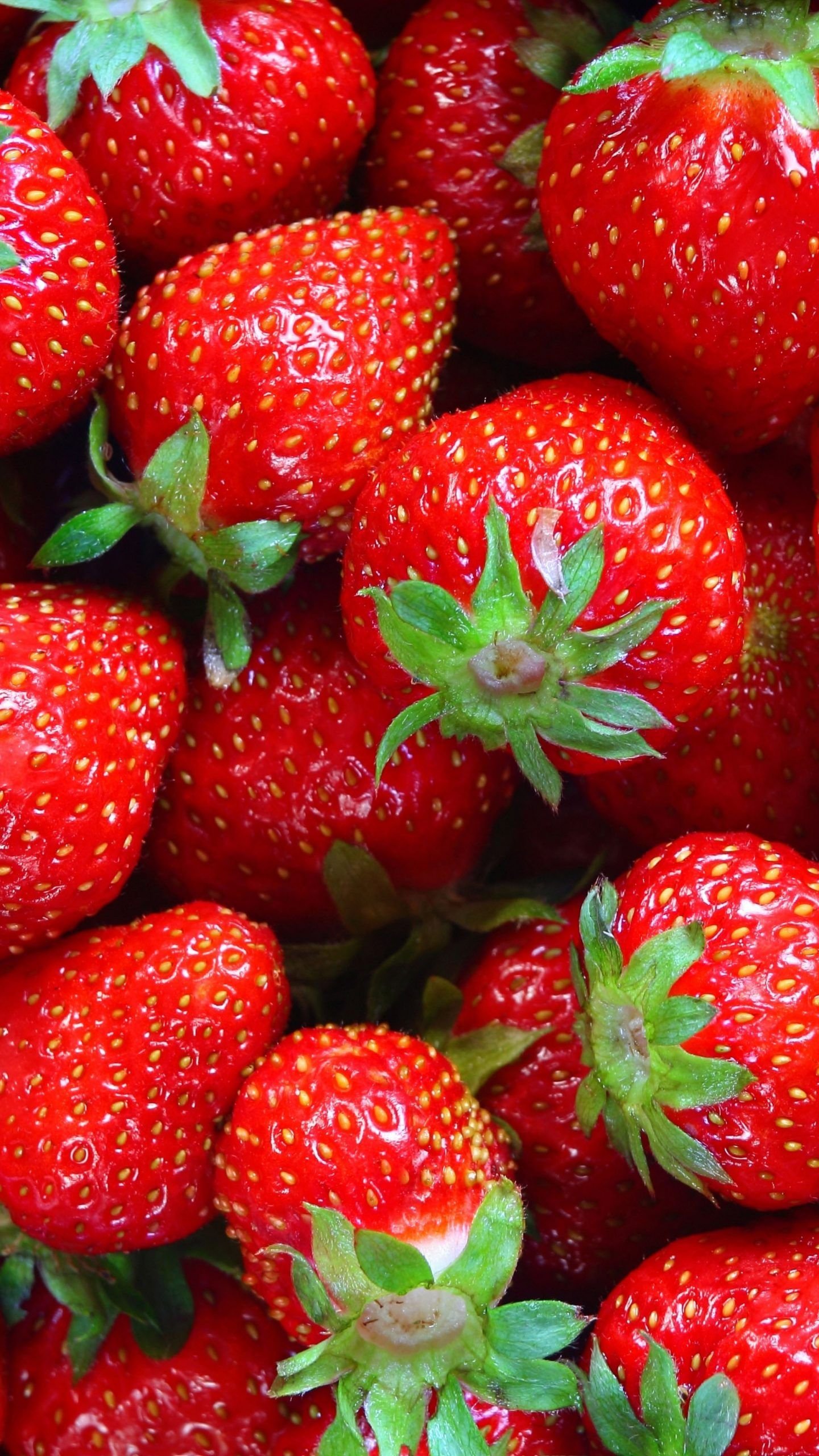 Download Enjoy a delicious juicy strawberry Wallpaper  Wallpaperscom