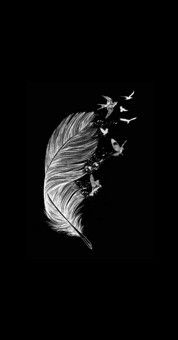 Aesthetic White Feather Wallpaper Download | MobCup