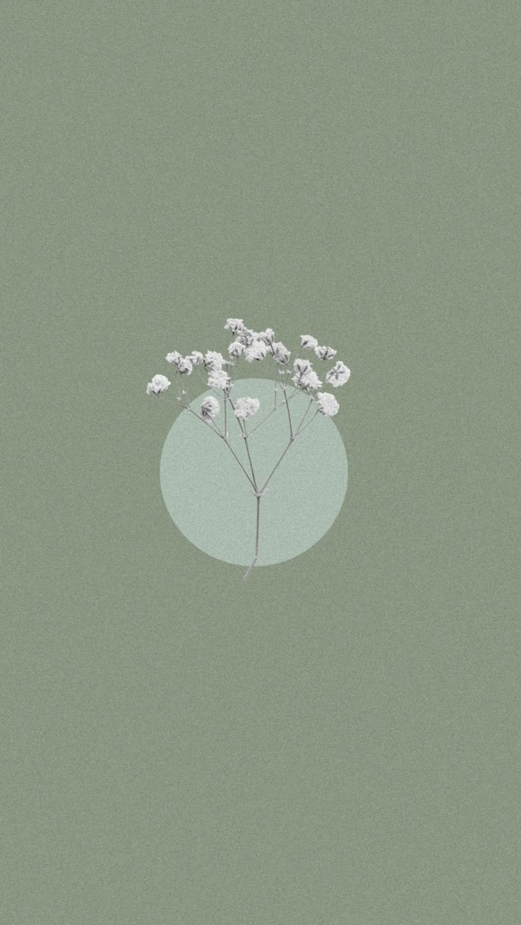 Sage Green Aesthetic Wallpaper Download | MobCup