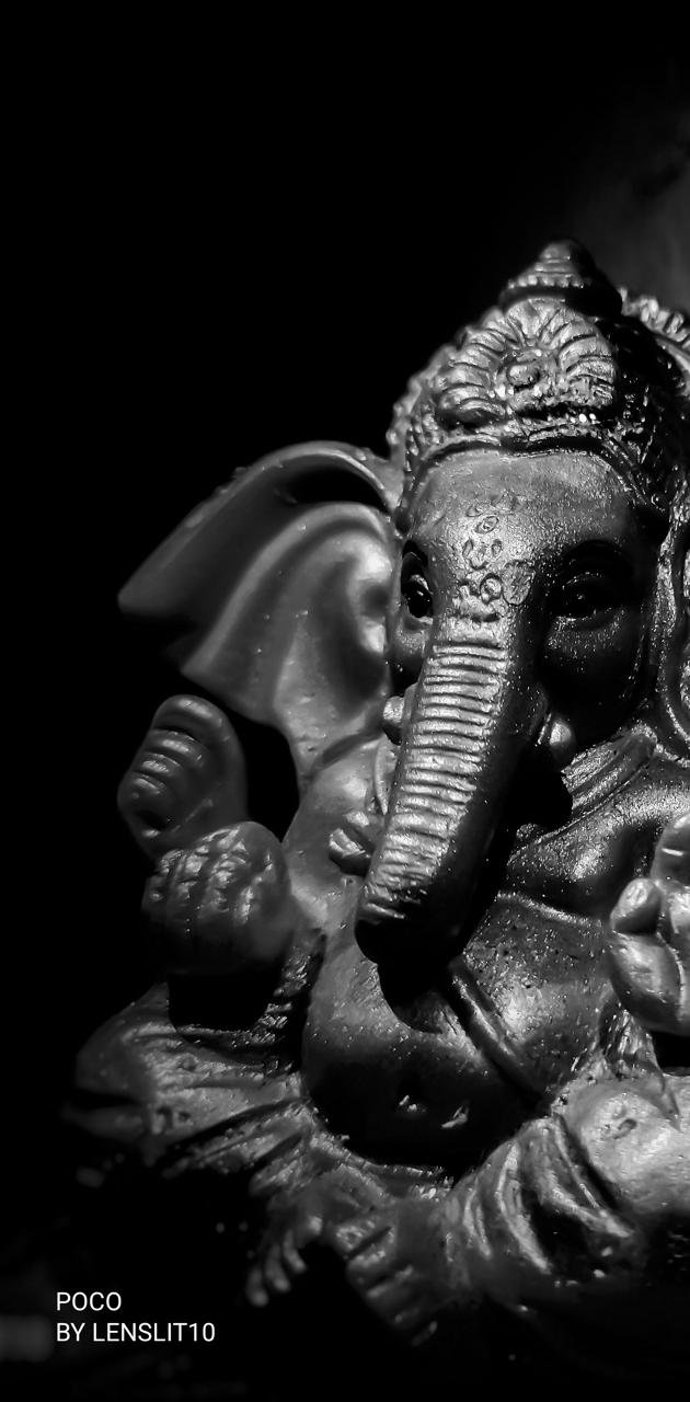 Image of photograph of lord Ganesha with black background-PD241072-Picxy