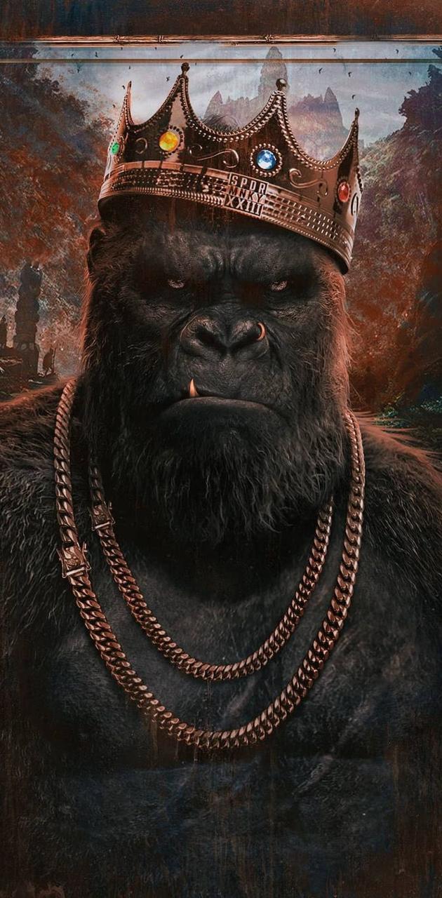 Angry Gorilla Wallpaper