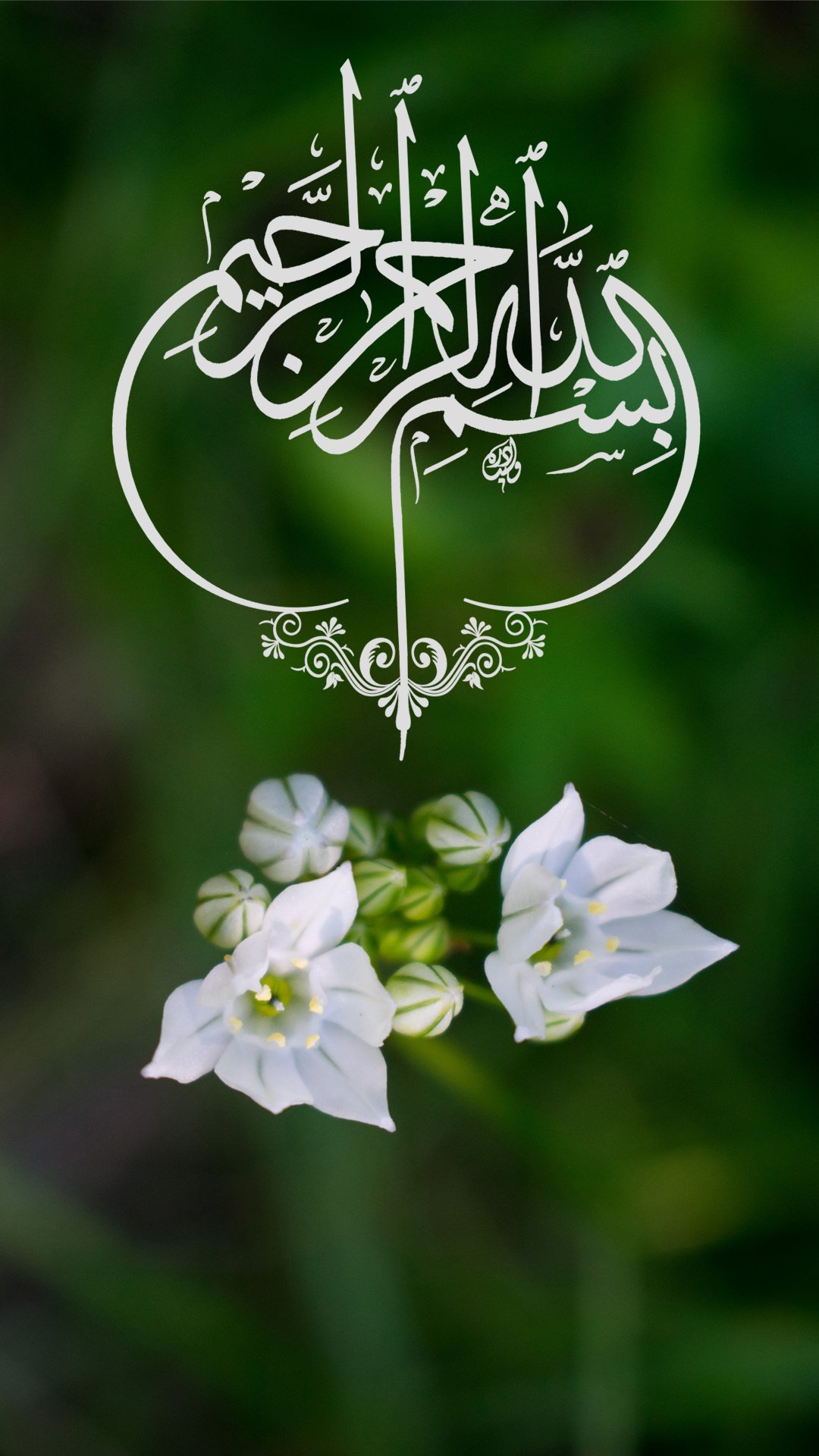 Beautiful Islamic Wallpapers Images  Humaira khan 1329838295 on  ShareChat