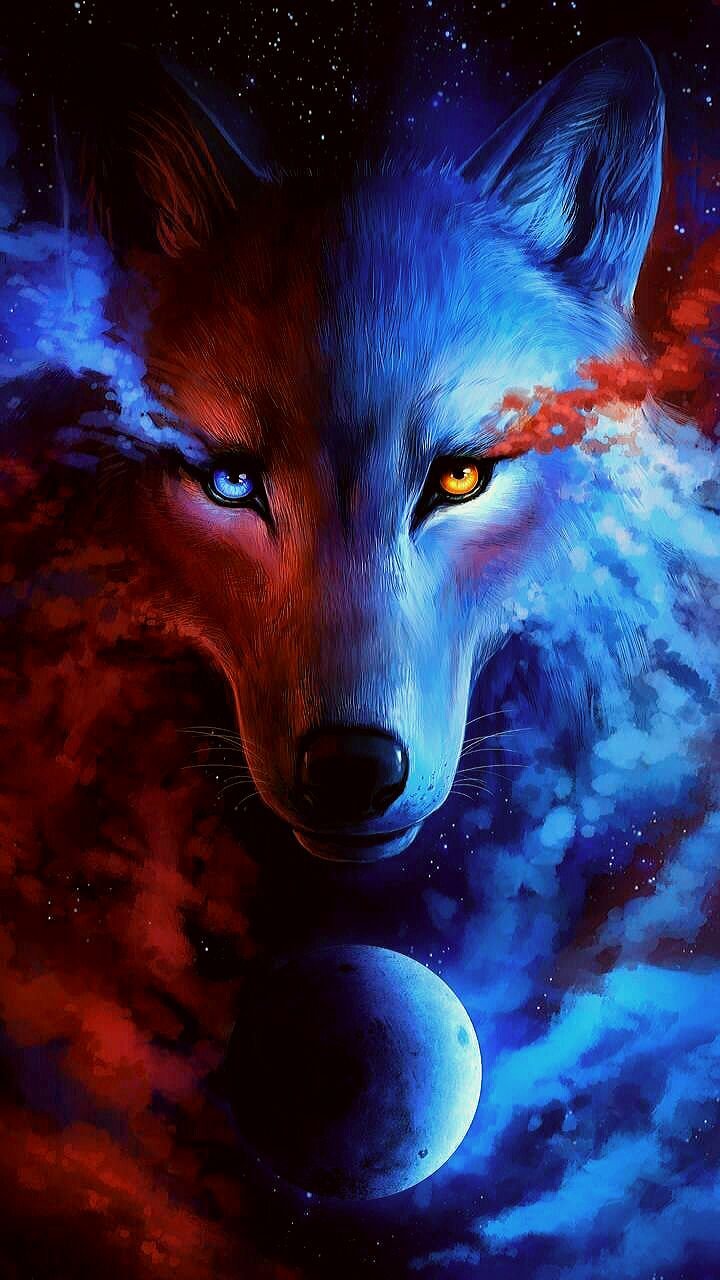 Mystical Galaxy Wolf Fox Galaxy Winged Wolf HD phone wallpaper  Pxfuel