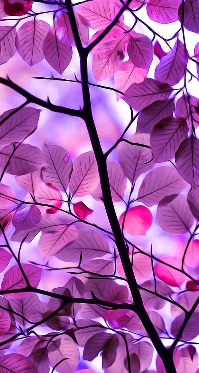 Top more than 67 wallpaper iphone purple best - in.cdgdbentre