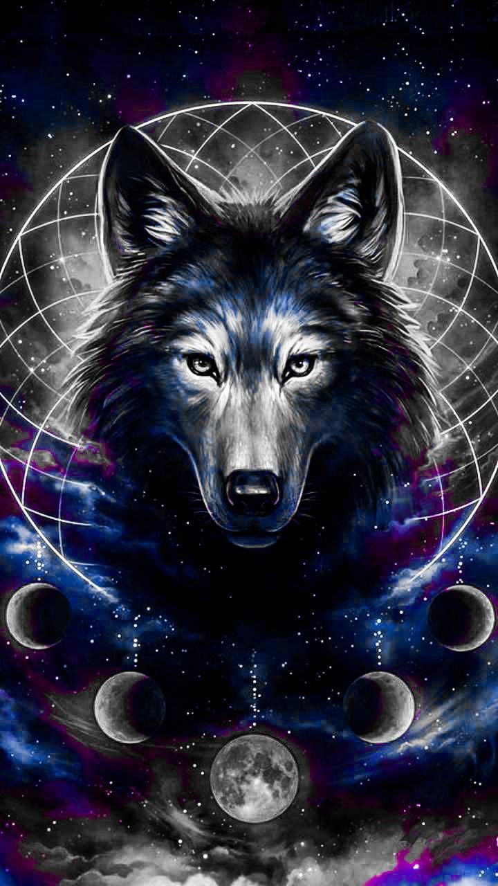 Purple wolf HD wallpapers  Pxfuel