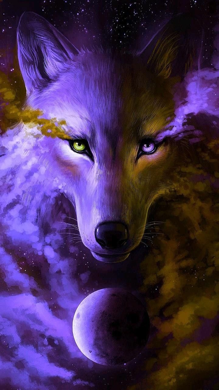 Cute Galaxy Wolf Wallpapers on WallpaperDog
