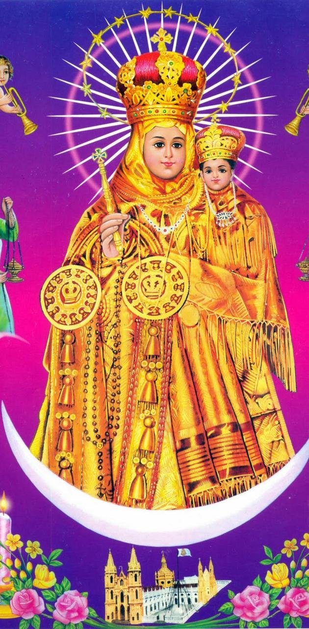 Lady Of Velankanni. Wallpaper Download | MobCup