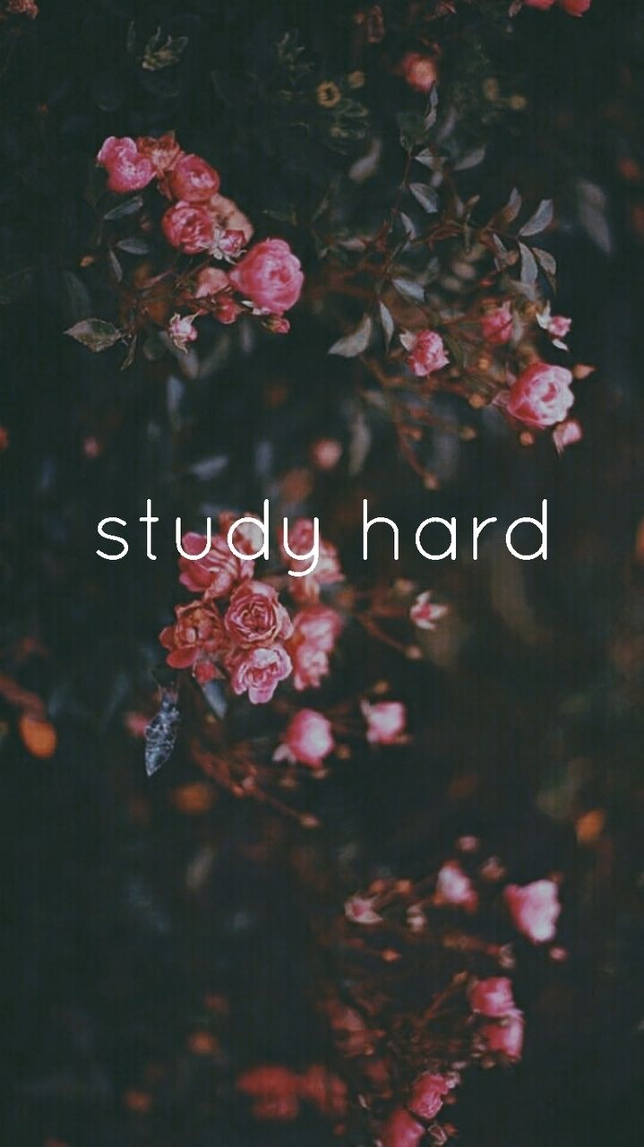 Study hard motivation