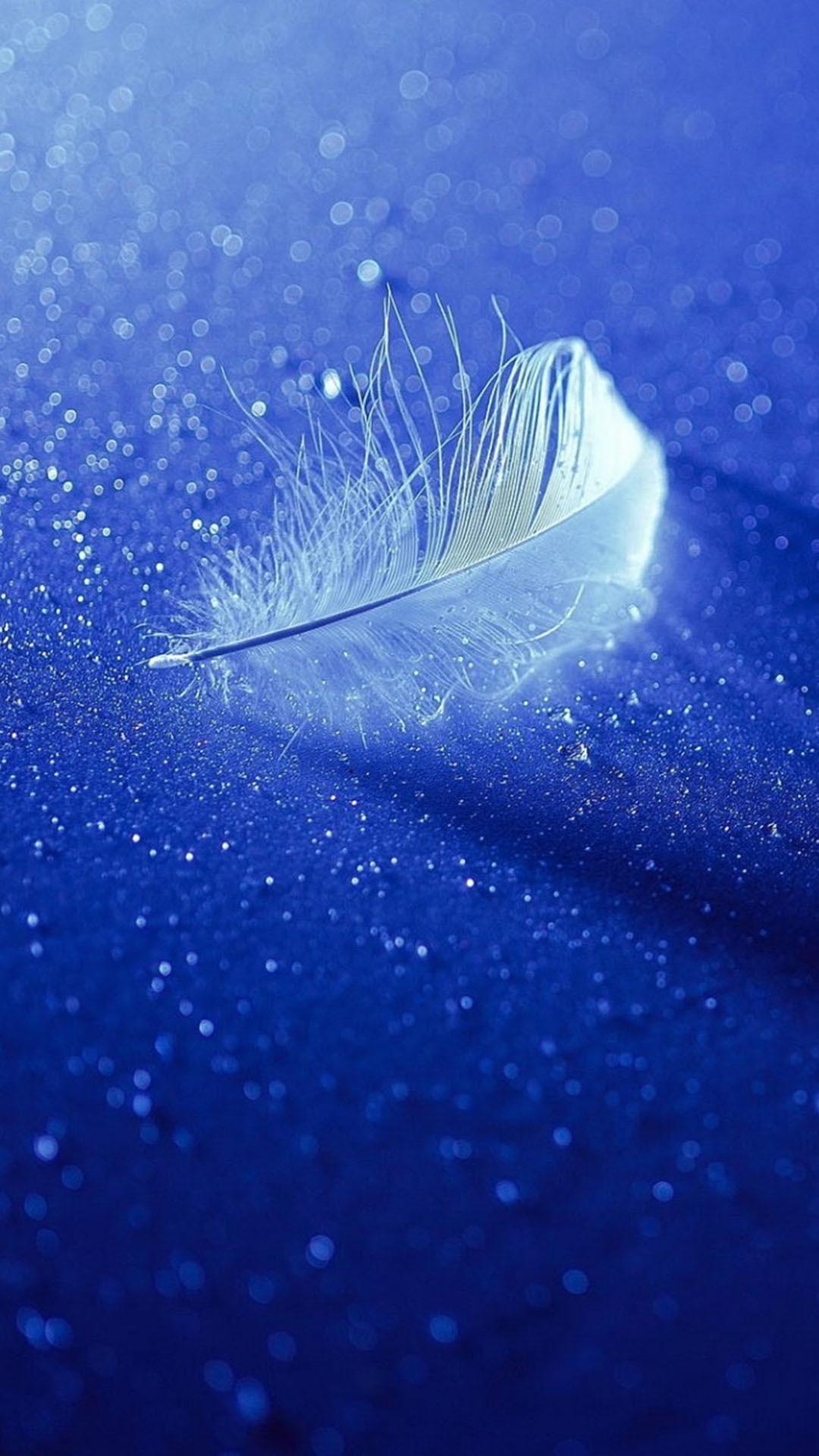 HD blue feather wallpapers