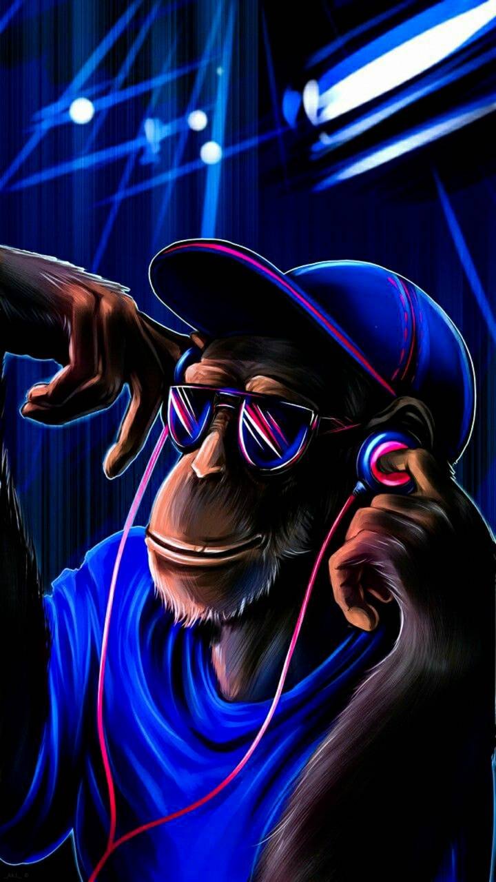 Monkey Swag Wallpapers - Wallpaper Cave
