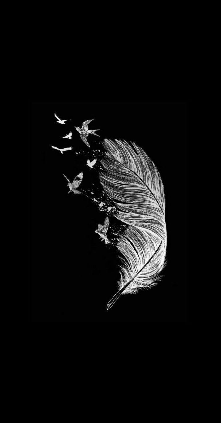 Dark Feathers  Black and white aesthetic, Dark aesthetic, Black aesthetic